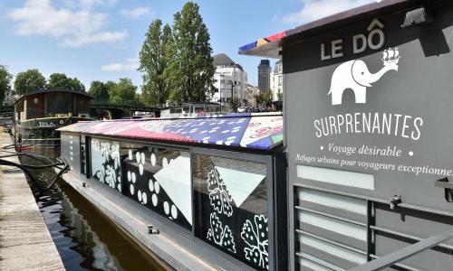Surprenantes- Le DÔ - photo 1