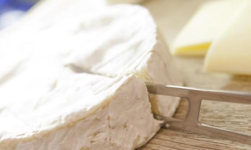 Logis Hôtel Duquesne - photo 3