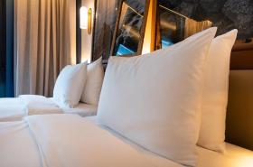 Radisson BLU Hotel Nantes - photo 25