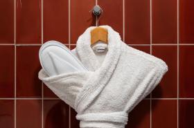 Radisson BLU Hotel Nantes - photo 9