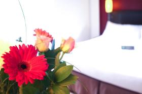 ibis Styles Nantes Centre Place Royale - photo 12