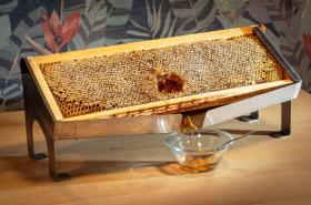 Hôtel de la Régate - photo 25